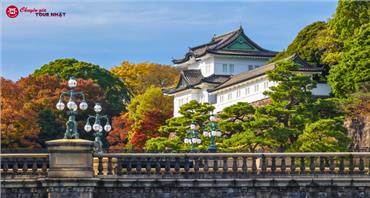 Tour Nhật Bản Mùa Thu 6N5Đ: Cung Đường Tokyo - Phú Sĩ